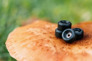 Schwarze FIngerboard Rollen auf einem Pilz fotografiert. Der Hintergrund ist unscharf.