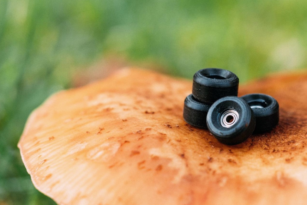 Schwarze FIngerboard Rollen auf einem Pilz fotografiert. Der Hintergrund ist unscharf.